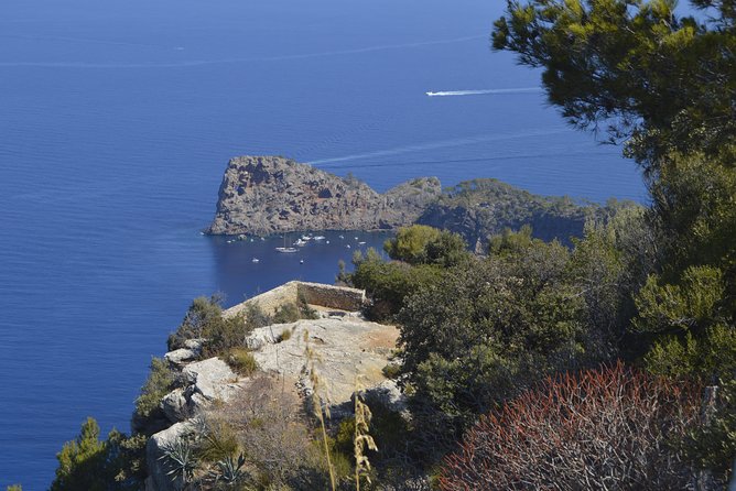 Mallorca: 5-hours Hidden Marvels Tour - The Quality of Guides and Guest Satisfaction