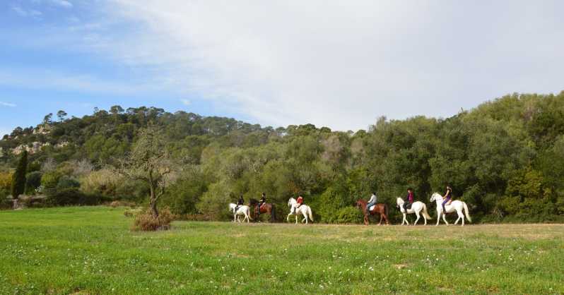 Mallorca: Activity, Antique Mallorca with Picnic - Discover the Charm of Mallorca’s Randa Valley on Horseback