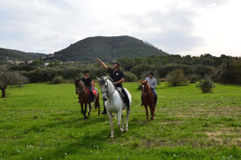 Mallorca: Activity, Antique Mallorca with Picnic - Instructor and Guide Expertise