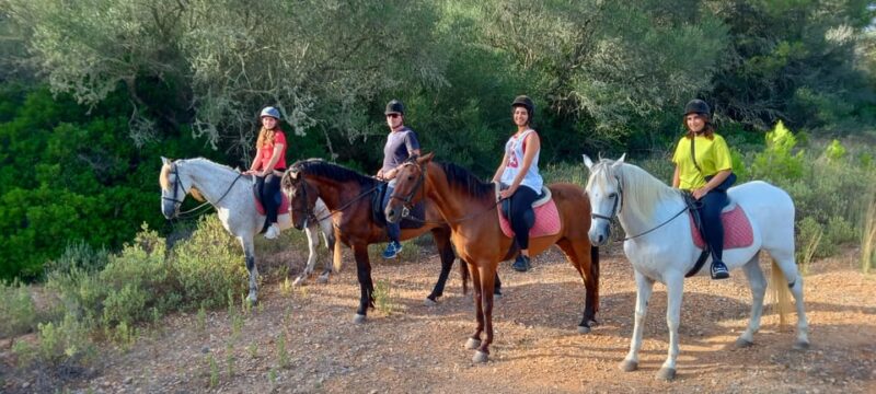 Mallorca: Activity, Antique Mallorca with Picnic - Comparing Similar Mallorca Horse Tours