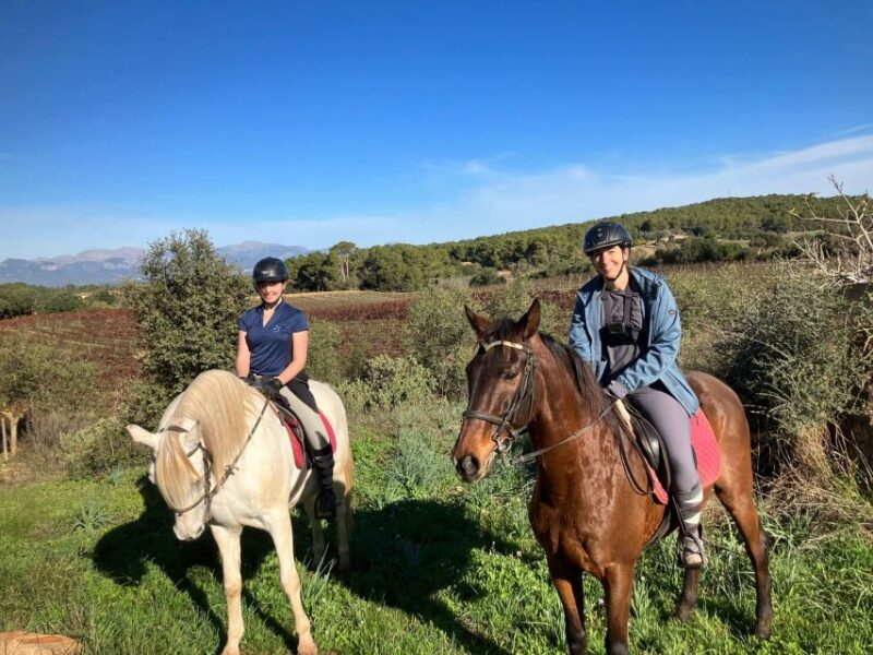 Mallorca: Activity with Horses, Antique Mallorca - Personalizing Your Ride Based on Your Level