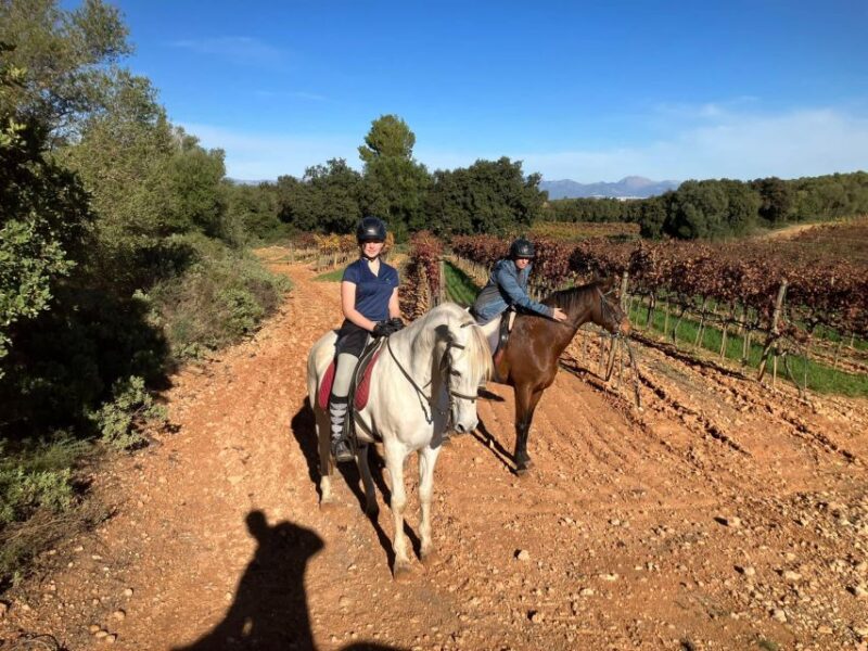 Mallorca: Activity with Horses, Antique Mallorca - Scenic Valley Excursion: Trails Through Olive Groves and Vineyards