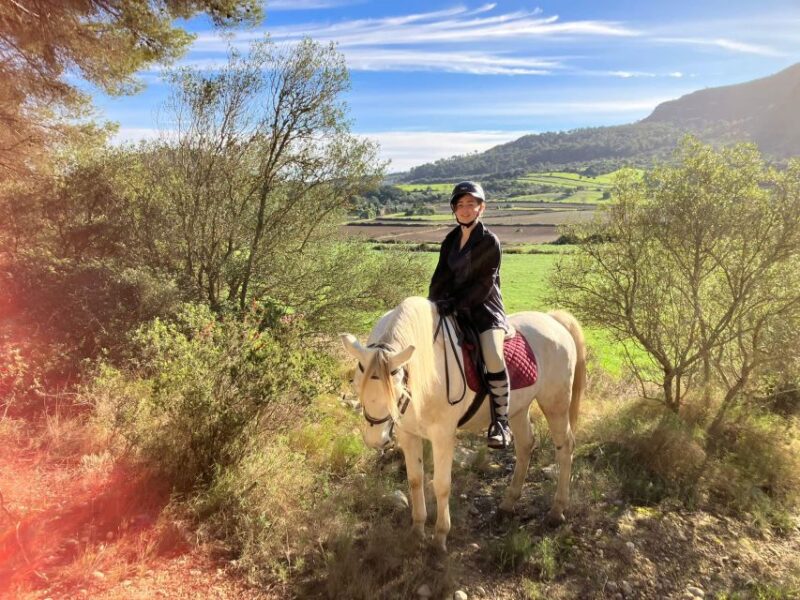Mallorca: Activity with Horses, Antique Mallorca - Flexibility and Booking Policies