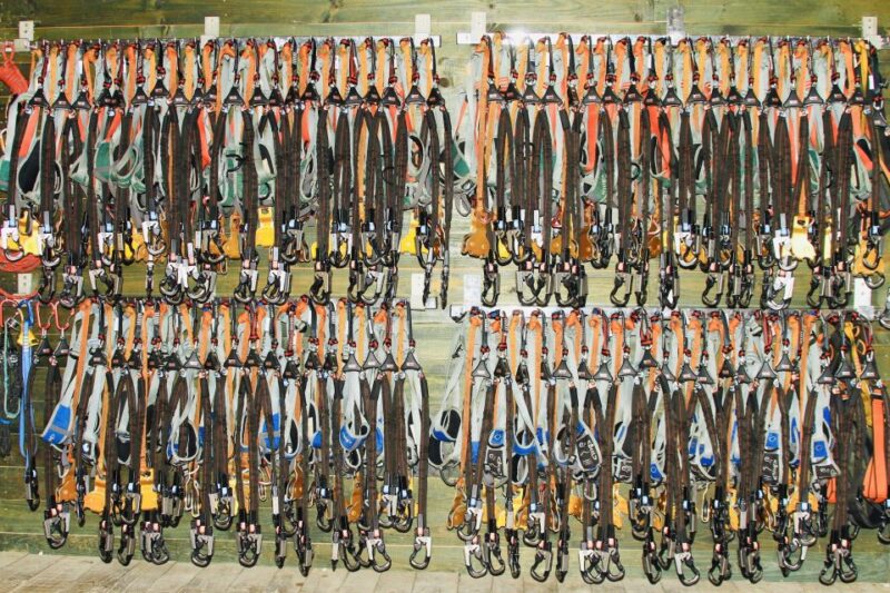 Mallorca: Adrenaline Tree Top Adventure Entry Ticket - Value and Booking Flexibility