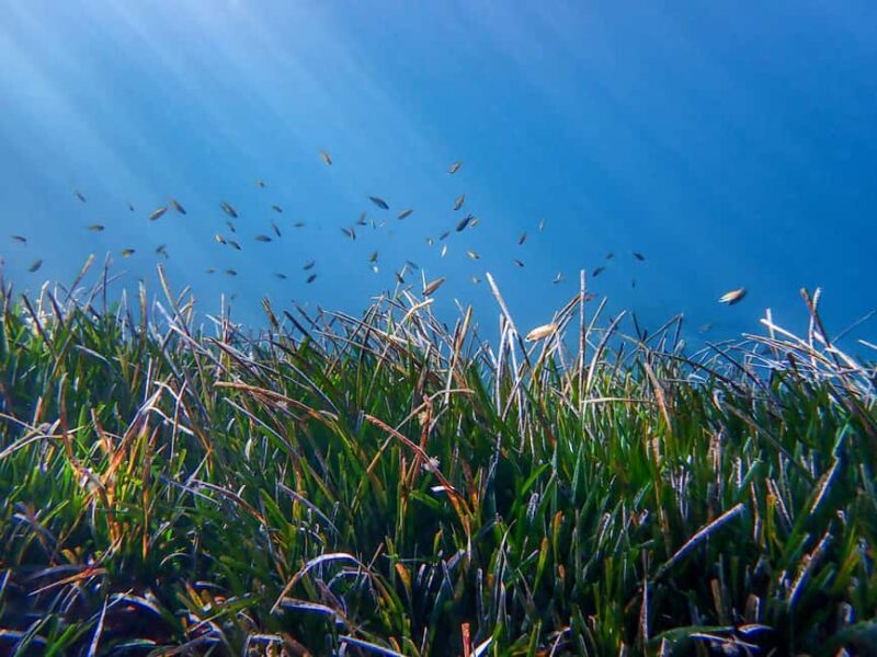 Mallorca: Adventure Diving (without a license - in the quiet off-season) - Equipment and Safety Gear from MARES