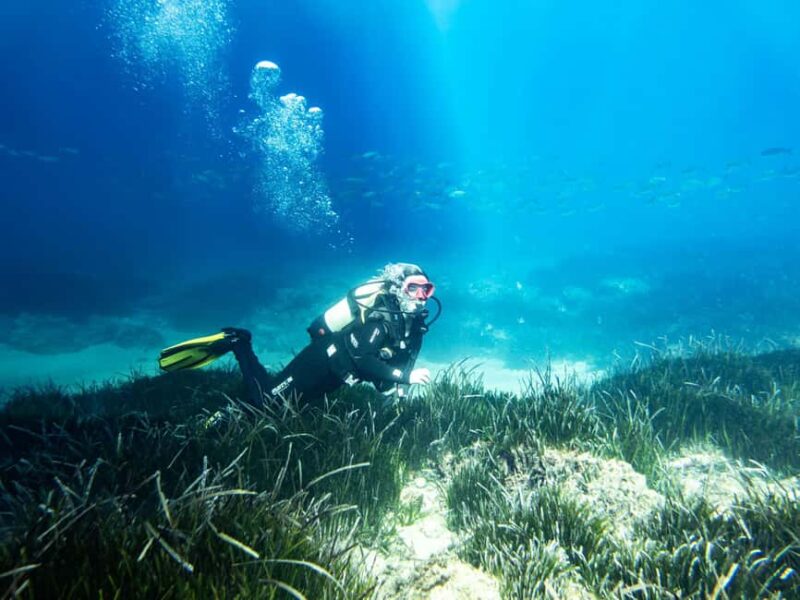 Mallorca: Adventure Diving (without a license - in the quiet off-season) - The Pacing and Duration of the Dive Experience