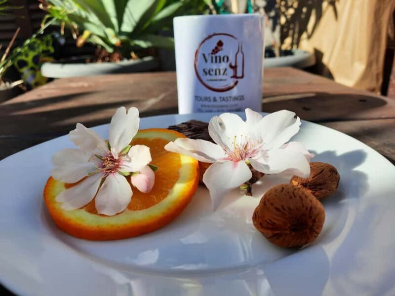 Mallorca: Almond Blossom Minivan Tour - GERMAN GUIDE - Who Will Enjoy This Tour the Most?