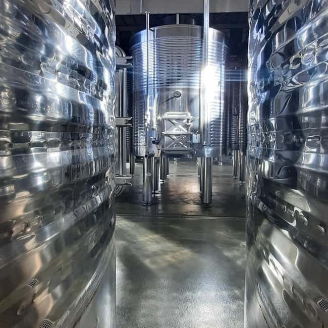 Mallorca: Bodega & Olives Minibustour with wine/oil tasting - Why This Tour Is a Great Choice for Food and Wine Enthusiasts