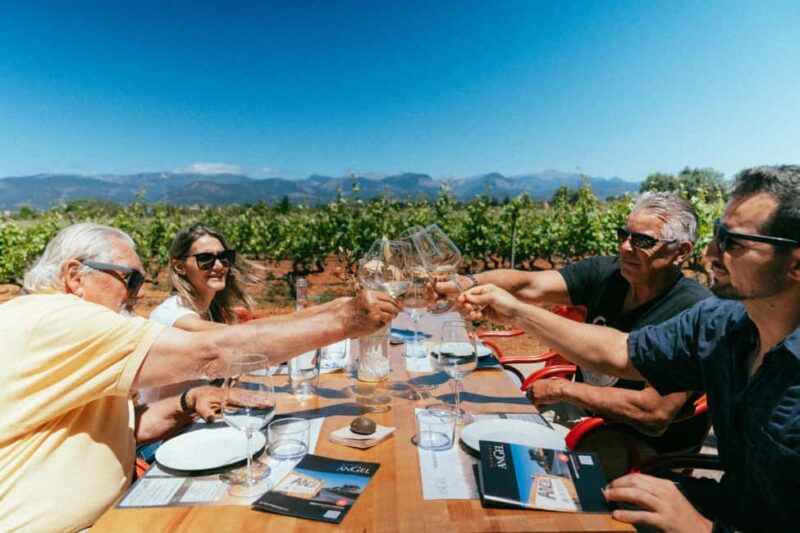 Mallorca: Bodegas Ángel Winery Tour with Wine Tasting - Key Points