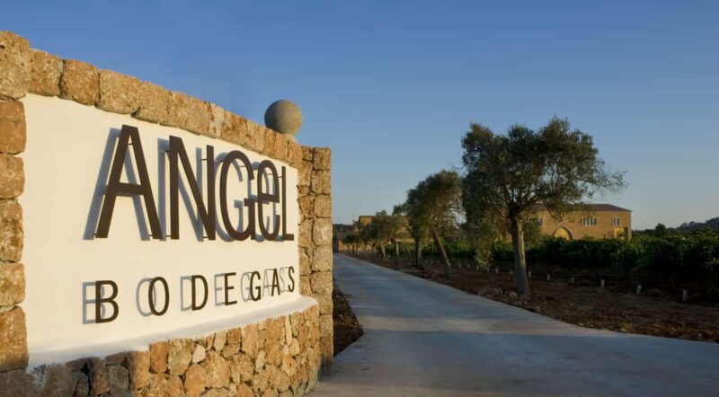 Mallorca: Bodegas Ángel Winery Tour with Wine Tasting - Exploring Bodegas Ángel in Mallorca