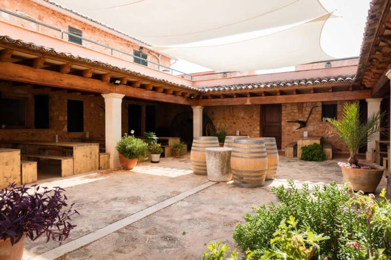 Mallorca: Bodegas Ángel Winery Tour with Wine Tasting - Savor Local Jam Tapas