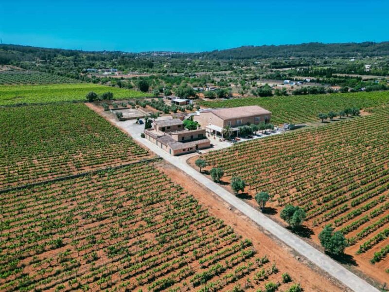 Mallorca: Bodegas Ángel Winery Tour with Wine Tasting - Booking and Cancellation Details