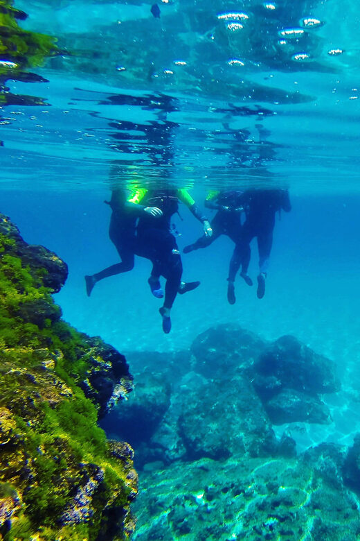 Mallorca: Cala Romántica Cliff Hike and Sea Cave Tour - Final Return to SEstany den Mas