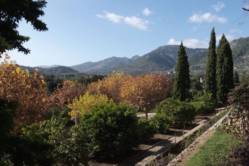 Mallorca: Campanet Caves Entry Ticket - Pricing and Booking: Flexibility and Affordability