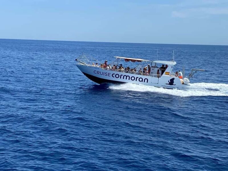 Mallorca: Caves, Cliffs, and Coves Boat Trip - Mallorca: Caves, Cliffs, and Coves Boat Trip — a scenic adventure along Spain’s captivating southwest coast