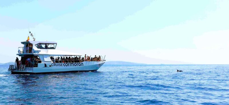 Mallorca: Coastal Cruise to Port of Andratx with swim stop - The Chance to Swim and Snorkel in Cala Egos