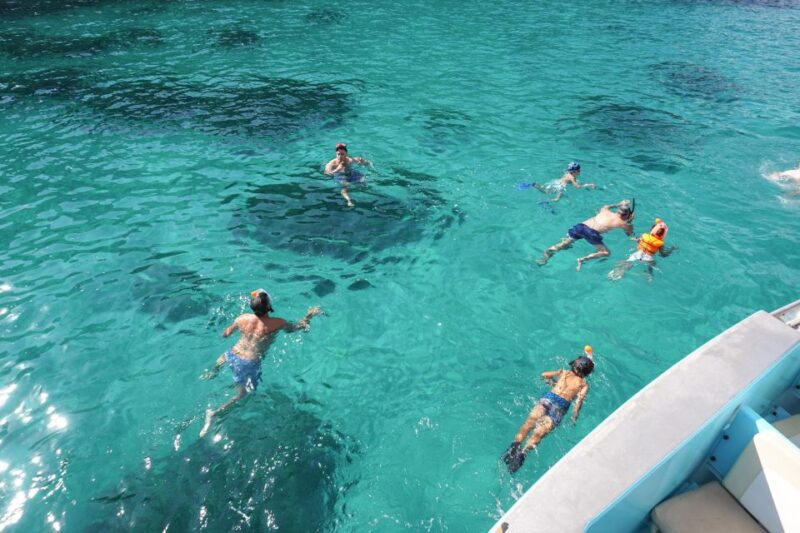 Mallorca: Coastal Cruise to Port of Andratx with swim stop - Visiting the Malgrats Islands Marine Reserve