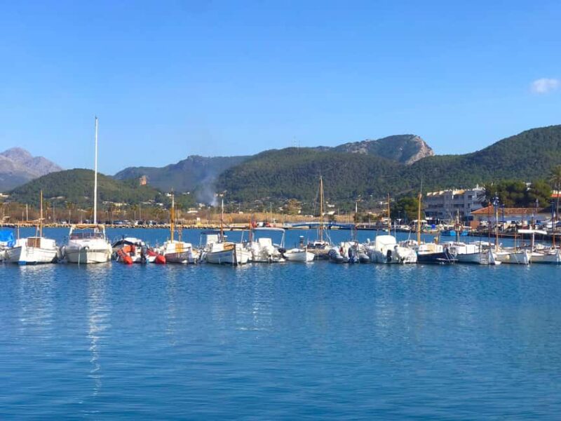Mallorca: Coastal Cruise to Port of Andratx with swim stop - Suitable Travelers and Physical Considerations