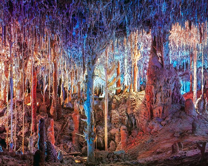 Mallorca: Dinosaurland and Caves of Hams Combined Ticket - Key Points