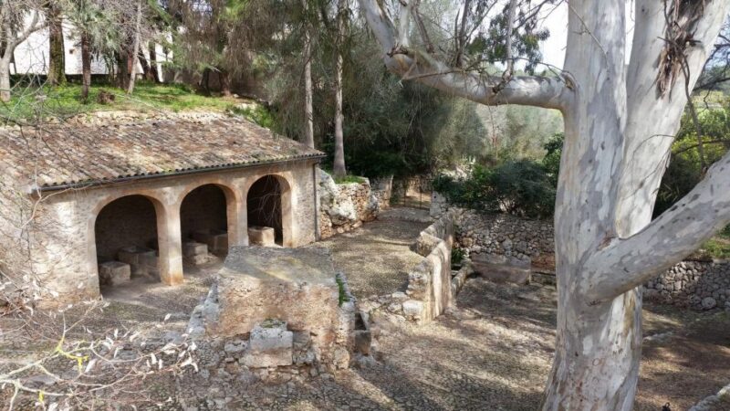 Mallorca: Discovering 5 Charming Villages of Mallorca - The Value and Overall Impression of the Tour