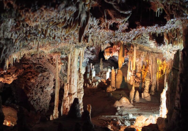 Mallorca: Drach and Hams Caves, and Porto Cristo Day Tour - Final Thoughts: Who Will Enjoy This Tour?