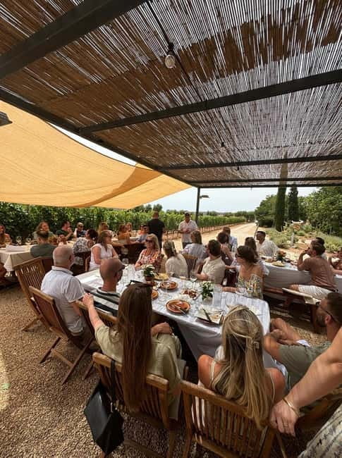 Mallorca: Exclusive wine tour with breakfast, wine tasting, and paella - Exploring the Vineyard and Learning Mallorca’s Wine Tradition