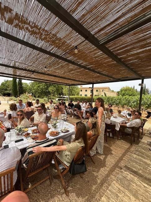 Mallorca: Exclusive wine tour with breakfast, wine tasting, and paella - Off-Road Driving Through Mallorca’s Scenic Landscape