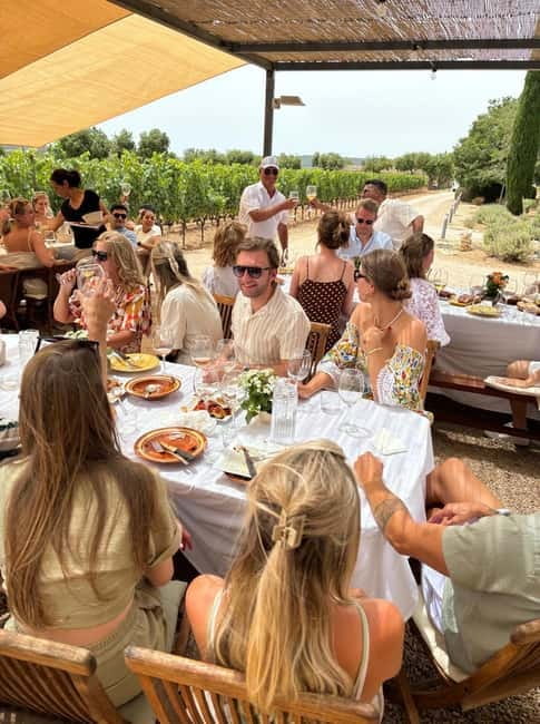 Mallorca: Exclusive wine tour with breakfast, wine tasting, and paella - Practical Details and Booking Flexibility
