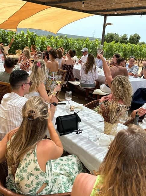 Mallorca: Exclusive wine tour with breakfast, wine tasting, and paella - Who Will Enjoy This Mallorca Wine Tour?