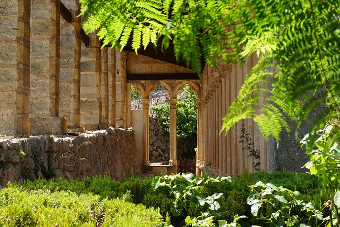 Mallorca Hidden Marvels: Guided Routes for Small Groups - The Quiet Charm of Pina Village and its Hydraulic Heritage