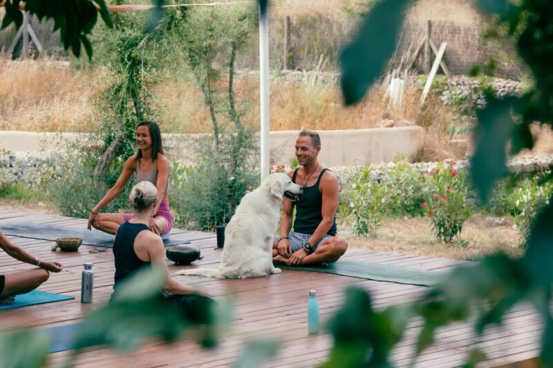 Mallorca: Holistic Private Yoga and Meditation Retreat - Frequently Asked Questions