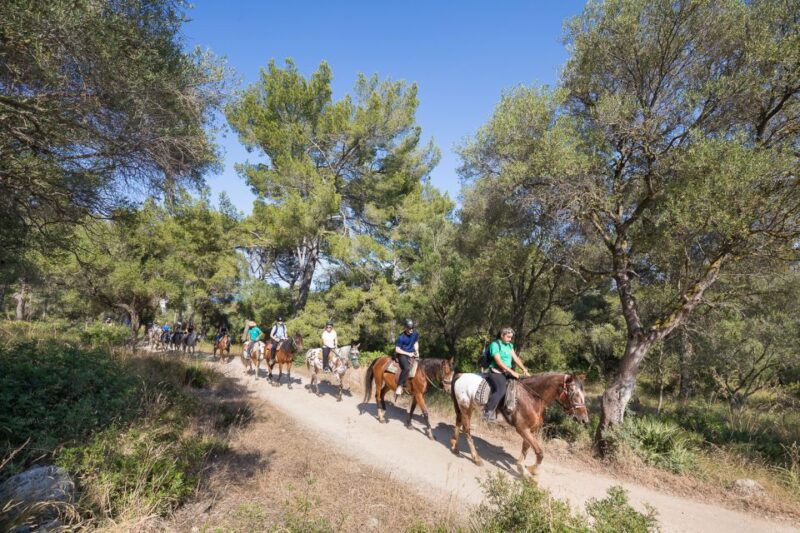 Mallorca: Horseback Riding Excursion and Wine Tasting - Suitable for All Levels and Practical Considerations