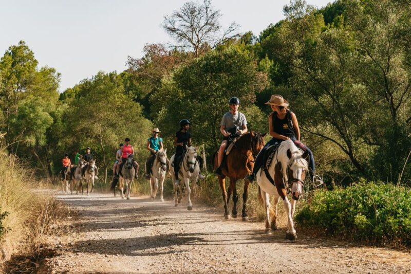 Mallorca: Horseback Riding Experience with Food Options - Choice of Routes: Base or Mountain View Trails