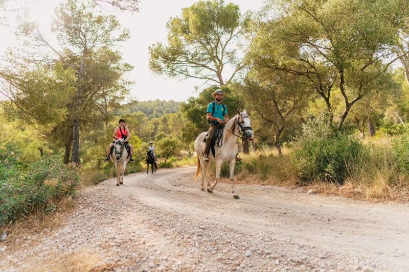 Mallorca: Horseback Riding Experience with Food Options - Food and Drink: Mallorcan Tasting or Gourmet Burgers