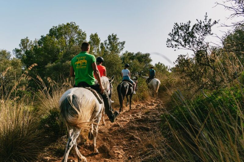Mallorca: Horseback Riding Experience with Food Options - Photographs and Souvenirs: Capture Your Horseback Moment