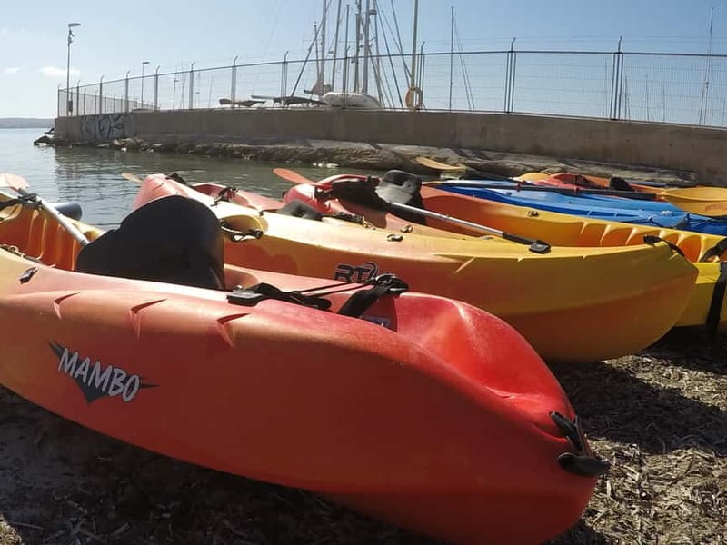 Mallorca: Kayak Rental - Physical Requirements and Suitability