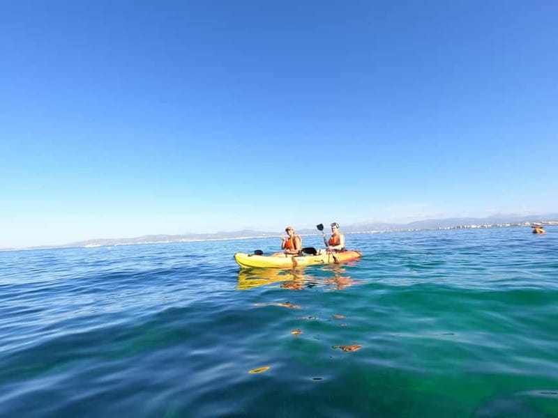 Mallorca: Kayak Rental - Booking Flexibility and Practical Tips