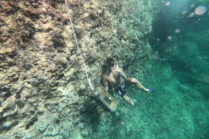 Mallorca: Kayaking, Sea Cave, Cliff Jumping & Snorkel Tour - Key Points