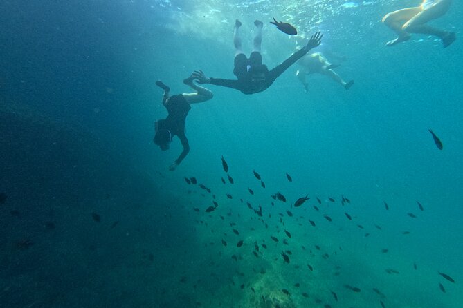 Mallorca: Kayaking, Sea Cave, Cliff Jumping & Snorkel Tour - Accessibility and Physical Requirements