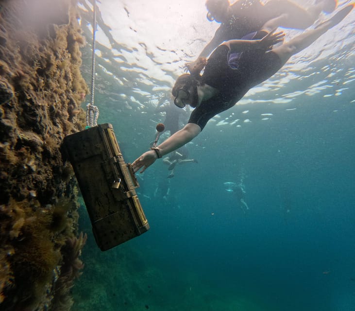 Mallorca: Kayaking, Sea Cave, Cliff Jumping & Snorkel Tour - Snorkeling and Marine Life Encounters