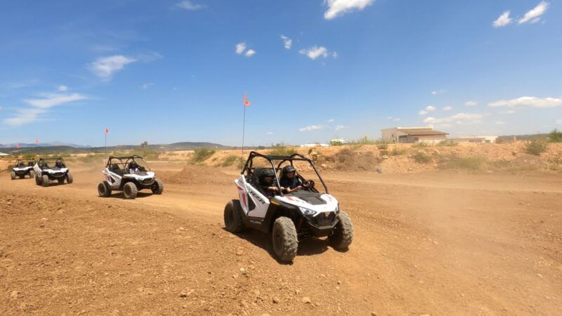 Mallorca Kids Buggy - Reviews and What Makes This Tour Special