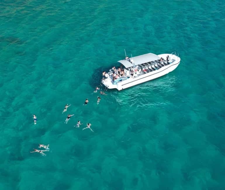 Mallorca Marine reserve: Visit caves, cliffs and snorkeling - Explore Mallorcas Marine Reserve by Speedboat and Snorkel in Natural Caves