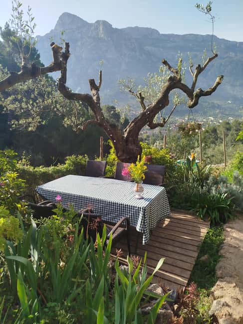 Mallorca: Paella Cooking Class in the Tramuntana Mountains - The Role of Jessica: A Spanish Food Expert