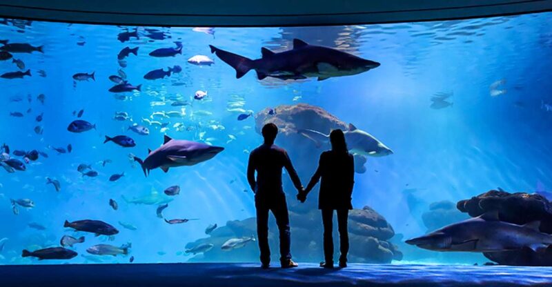 Mallorca: Palma Aquarium Entry Ticket w/ Optional 3D Cinema - Key Points