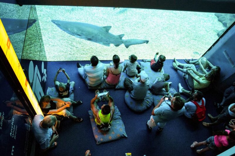 Mallorca: Palma Aquarium Entry Ticket w/ Optional 3D Cinema - The Big Blue and Other Major Tanks