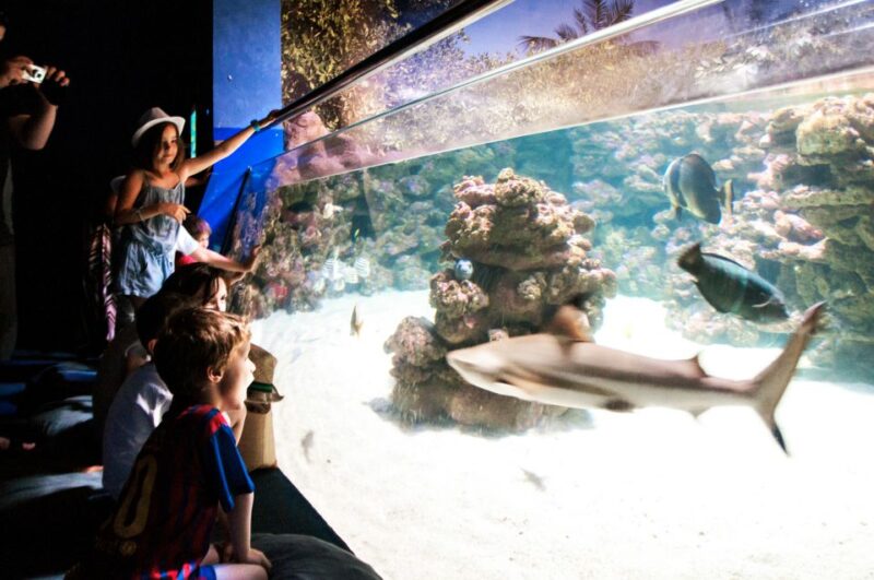 Mallorca: Palma Aquarium Entry Ticket w/ Optional 3D Cinema - Activities and Feeding Demonstrations