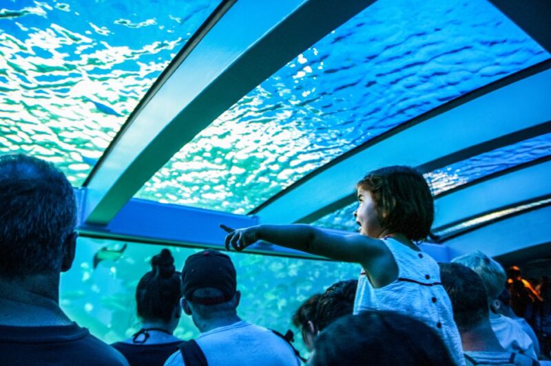 Mallorca: Palma Aquarium Entry Ticket w/ Optional 3D Cinema - Practical Info: Opening Hours, Tickets, and Tips