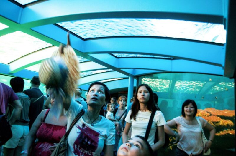 Mallorca: Palma Aquarium Entry Ticket w/ Optional 3D Cinema - What Sets Palma Aquarium Apart from Other Marine Parks