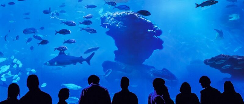 Mallorca: Palma Aquarium Entry Ticket w/ Optional 3D Cinema - Palma Aquarium for Families and Marine Enthusiasts