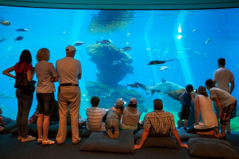 Mallorca: Palma Aquarium with Transfers, Guide & Fast Entry - Exploring the Zones Inside Palma Aquarium